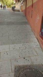 IMAG1375