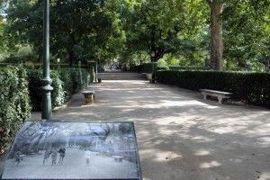 jardinbotanico