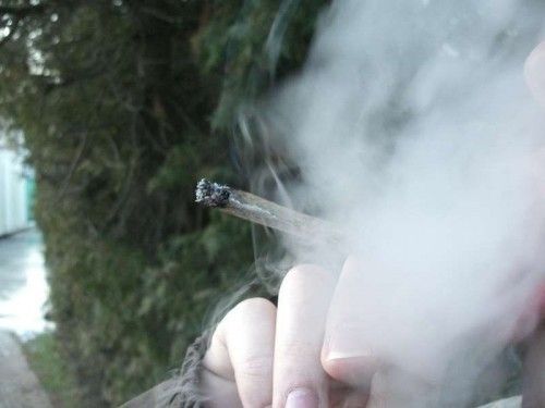 porro