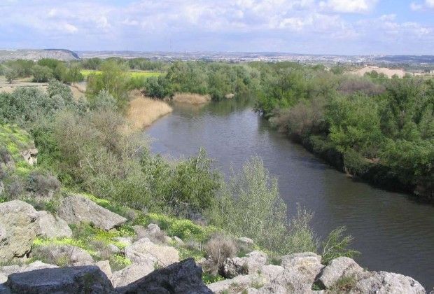 Henares