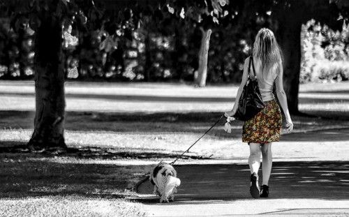 mujer perro