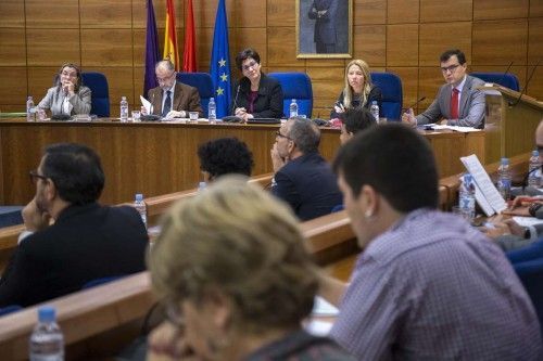 La medida fue aprobada por unanimidad en el Pleno. Foto: Ayuntamiento de Pozuelo
