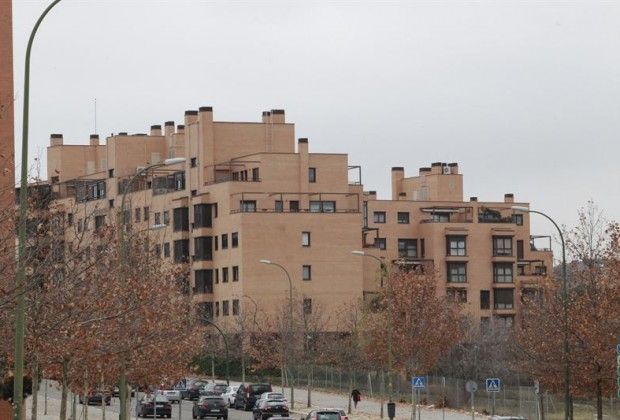 universitarios