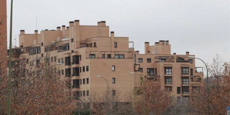 universitarios