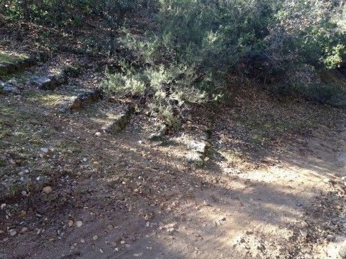 El ayuntamiento quiere mantener las sendas Dehesa El Carrascal.
