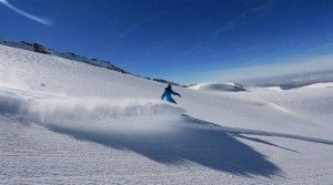 nieve