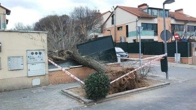 Avilés