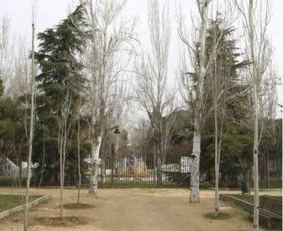 arbol leganes