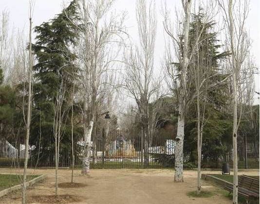 arbol leganes