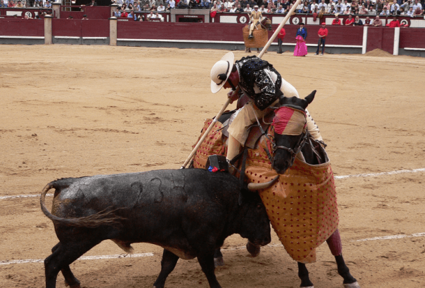 Toros en Coslada