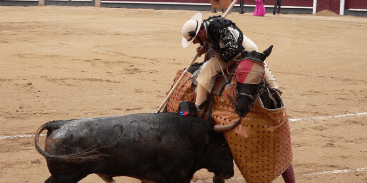 Toros en Coslada