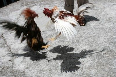 Ensanche de Vallecas
