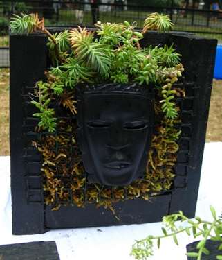 Planted Frame. Desmond Olayemi.