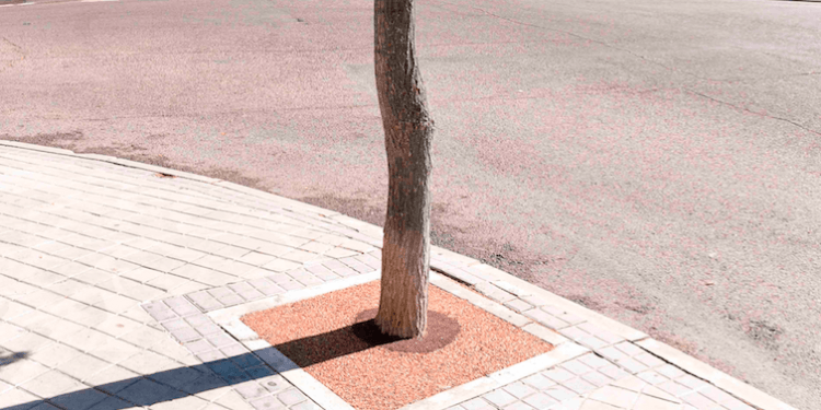 Boadilla del Monte
