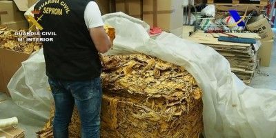 tabaco liar