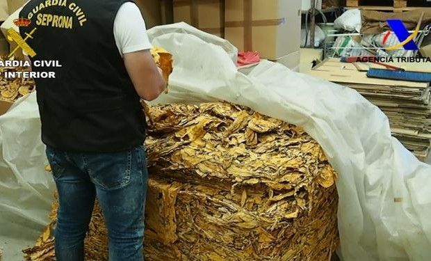 tabaco liar