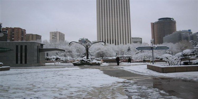 nieve