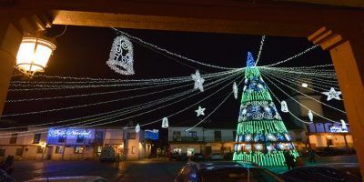 arbol valdemoro