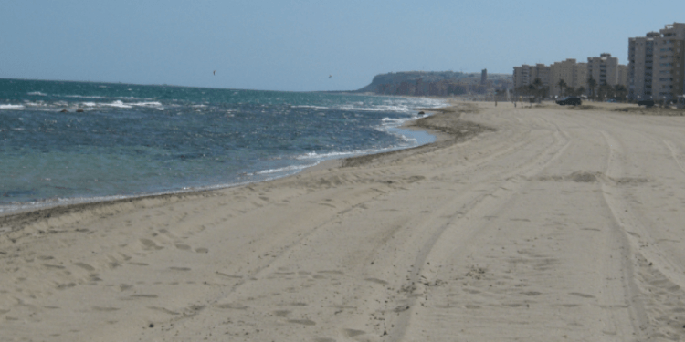 Alicante