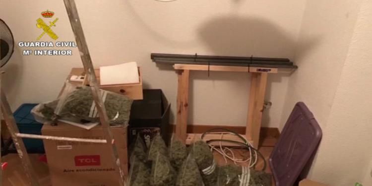 marihuana tres cantos