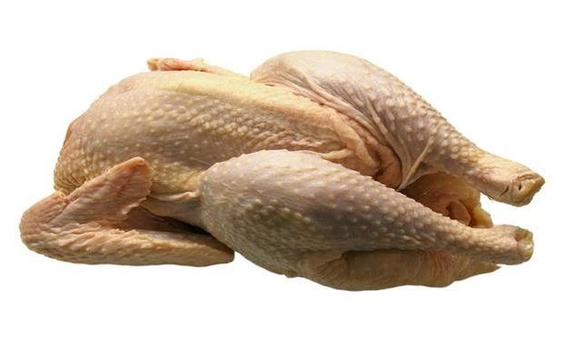 pollo