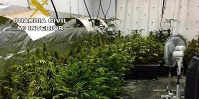 tomelloso marihuana