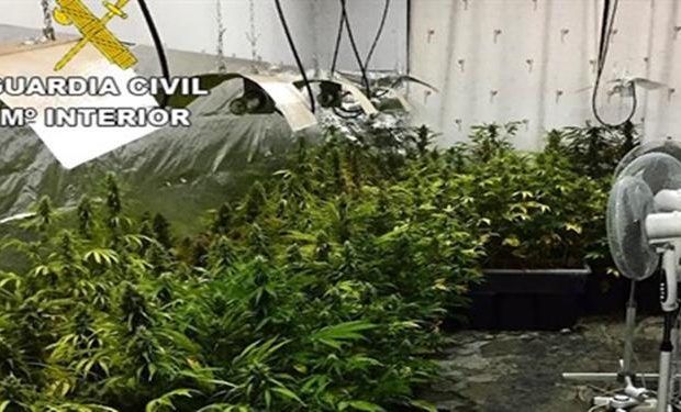 tomelloso marihuana