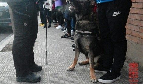 Tudela