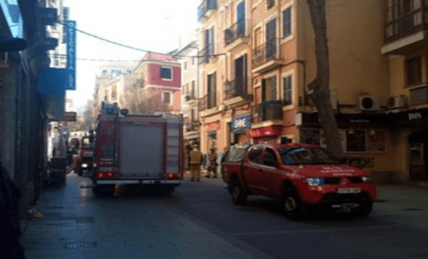 Palma