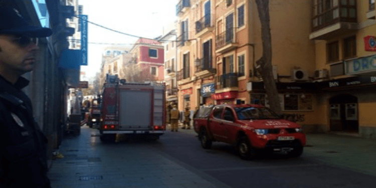 Palma