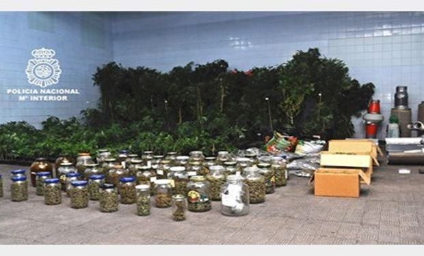 marihuana orense