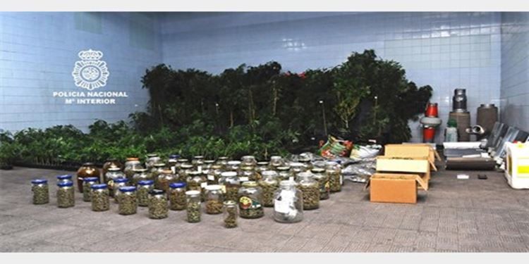 marihuana orense