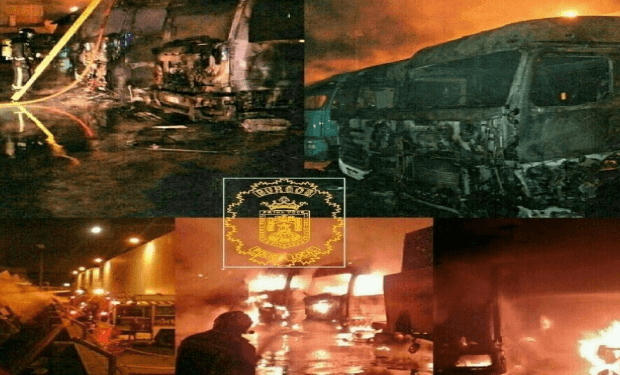 Gamonal