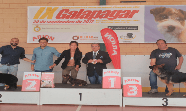Galapagar