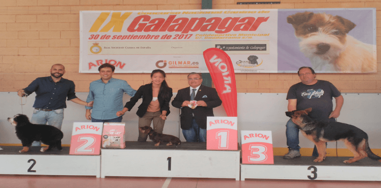 Galapagar