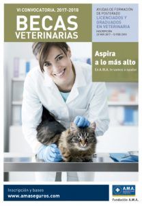 fundación A.M.A.