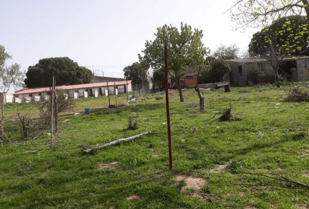 Tres Cantos