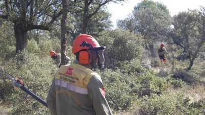 retenes forestales