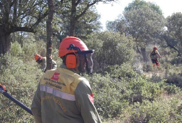 retenes forestales