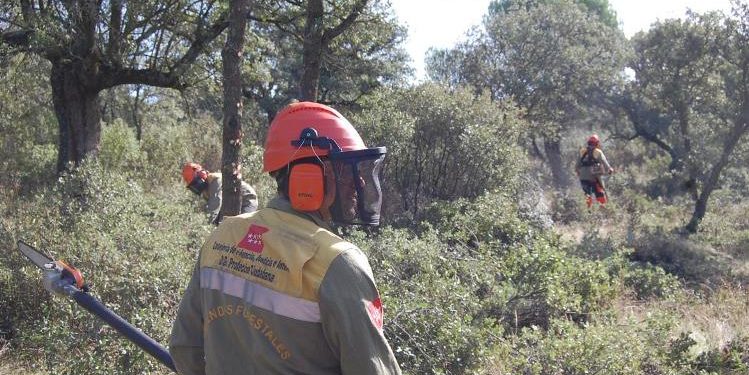 retenes forestales