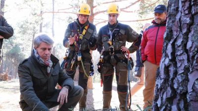 agentes forestales