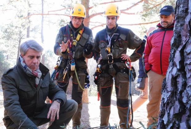 agentes forestales