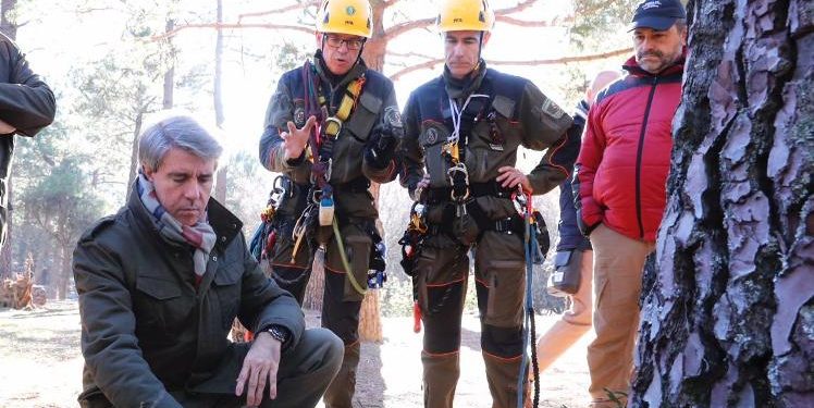 agentes forestales
