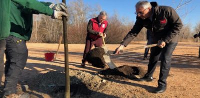 reforestacion