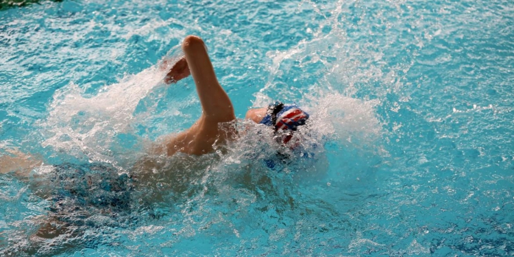 Federación Madrileña de Natación