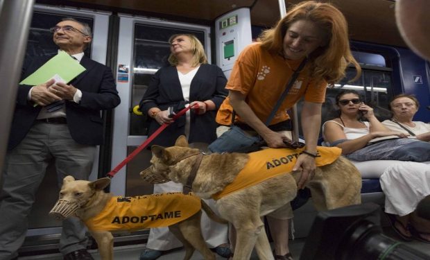 Metro de Madrid