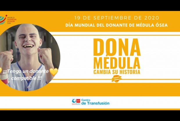 médula