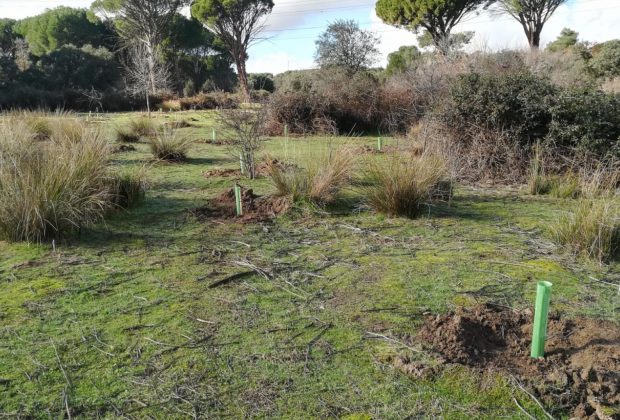 Parque Regional de la Cuenca Alta del Manzanares