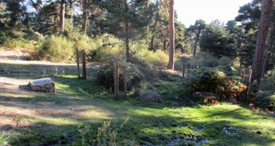 Parque Nacional de la Sierra de Guadarrama