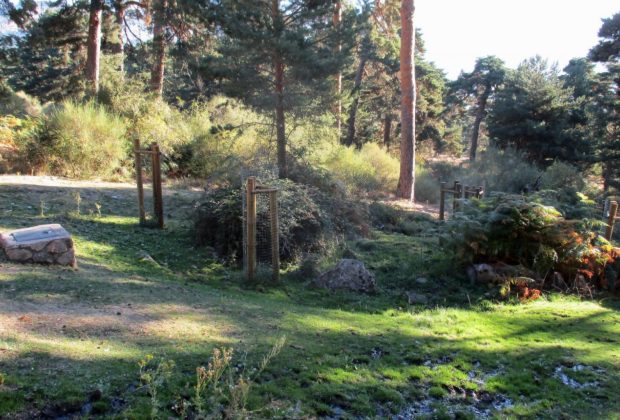 Parque Nacional de la Sierra de Guadarrama
